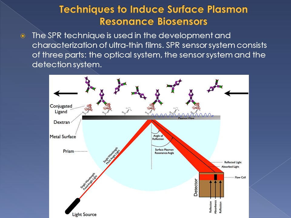 The surface plasmon resonance